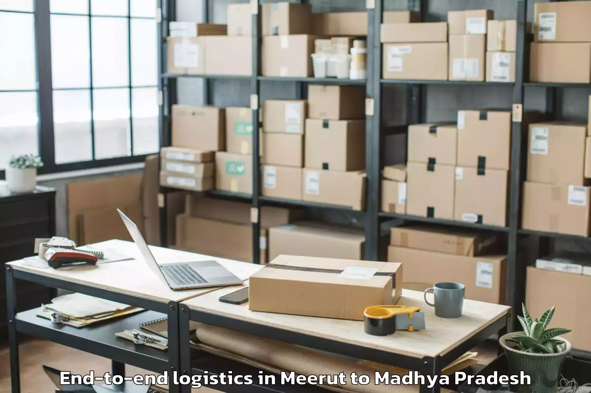 Top Meerut to Sage University Indore End To End Logistics Available